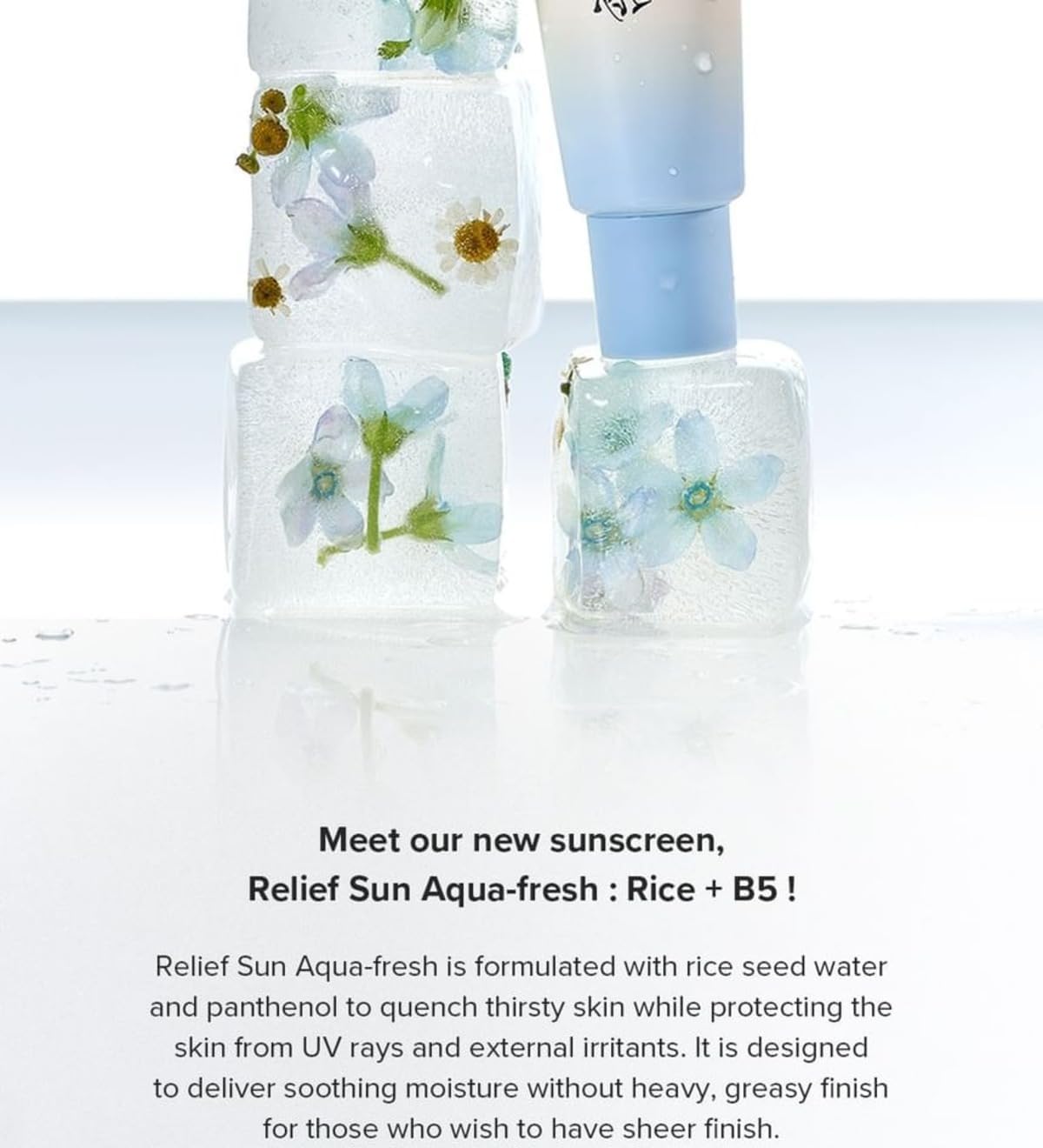 BEAUTY OF JOSEON Relief Sun Aqua-fresh: Rice + B5